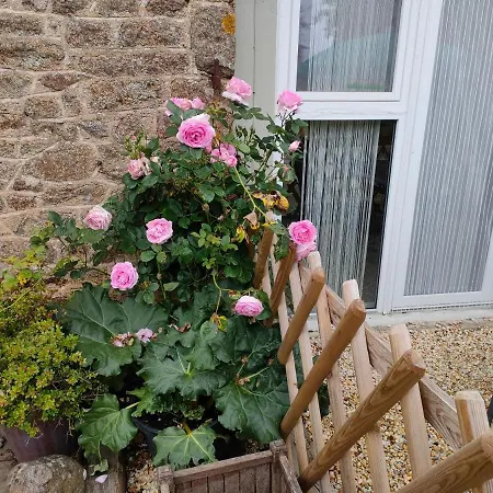 Ferienwohnung Les Petits Champs Buais-les-Monts Exterior foto