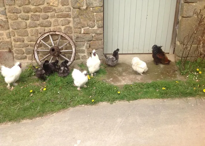 Les Petits Champs
