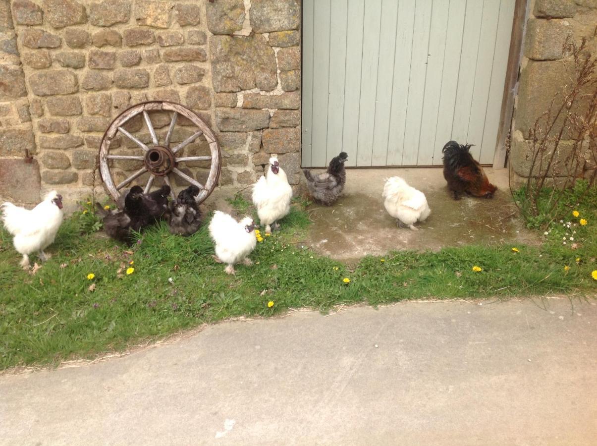 Les Petits Champs Homestay Buais-les-Monts