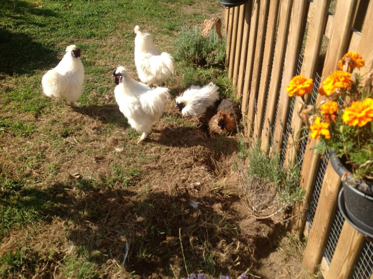 Homestay Les Petits Champs Buais-les-Monts