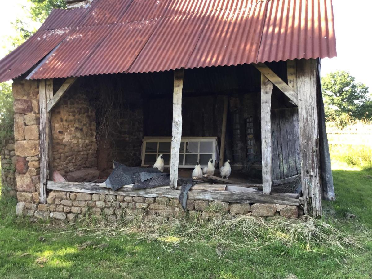 Homestay Les Petits Champs